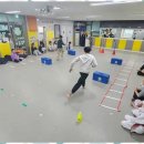 멘토태권도교육관 이미지
