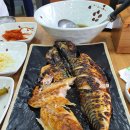 북극해고등어 - 14884 | 북극해고등어