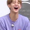 도리블 뜻이 몹니까? 이미지