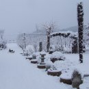 만사농장 이미지