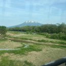 시 창작 공작소 | 도쿄 근교 나들이 - 쿠니타치 다이가쿠 도오리, 후지미 도오리, 타치카와 후쿠나가 지공 (이노우에 뱃지점)