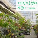 그린가든 | 간만의 방문! 일산 화원 더그린가든센터 후기