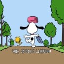 10. 31 일요일 정모 이미지