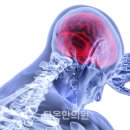 다온한방병원 이미지