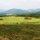 생각의 오름 이미지