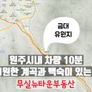 금대유원지 네이버블로그