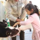 지평선목장 이미지