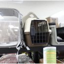 애견용품 할인매장 이미지