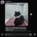 희망의 의자 | 부산 강아지 슬개골 수술후기2️⃣ (면회, 퇴원, 진료)