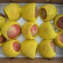 백월농장 이미지