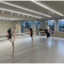 초등성장발레 이미지