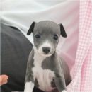 의성동물병원 이미지