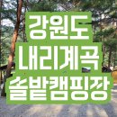 강원도 내리계곡솔밭캠핑장 여름계곡캠핑 겨울캠핑 추천캠핑장