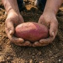 아이엠팜 이미지