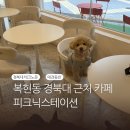 경북대학교 테크노파크 정문 | 대구 복현동 경북대 애견동반 가능한 카페 🐶 | 피크닉스테이션 | 피크닉세트 대여🧺
