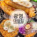 (주)청마푸드 | 검단 완정역 맛집 광명대창집 소대창구이, 볶음밥, 막국수