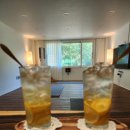 바이오포레스트 이미지