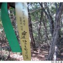 티파니펜션민박 이미지