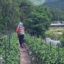 주헌농장 이미지