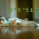 나른