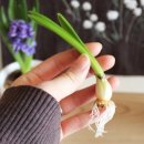 해천농장 이미지