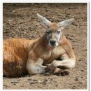 황금휘트니스 이미지