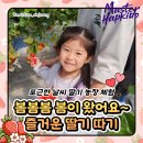 정택이네 김밥 | 24년 4월 포근한 날씨에 다녀온 마스터 교육관 첫! 딸기체험 다녀왔습니다~[양주시합기도,옥정동합기도...