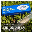 뒹굴개 | 껴안고 뒹굴기 좋은 고냥냥 개냥냥 고양이 대왕 캣잎 스틱