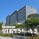 롯데리조트 속초 주니어 패밀리 스위트 조식 인피니티풀 가족여행추천
