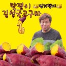 맛있기로 유명한 김성국 고구마 판매 이미지