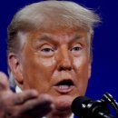 수색-020 이미지