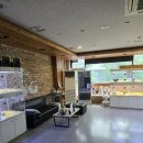 펫퍼스트 24시 강아지분양 고양이분양 이미지