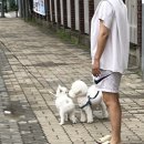 (주)남영엔지니어링 | 7월 (4) 무더위에 녹아내리는 중