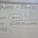원광어린이집 이미지