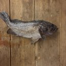 염치 낚시터 이미지