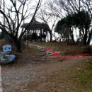 황령산 벚꽃약수터 이미지