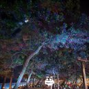 동호푸드 이미지