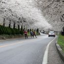 구례군관광안내소 이미지