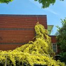 동방횟집 이미지