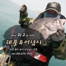 신진낚시 - 구미시 금오대로 357 | 신진낚시