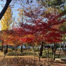 낙성대공원 화장실 이미지