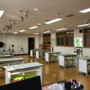 대전산업정보고등학교 이미지