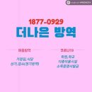 최뿔따구 이미지