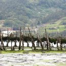 안굴전민박 이미지