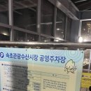 오케이떡볶이 | 속초 중앙시장 먹거리 추천 딸기모찌, 가자미물회, 막걸리술빵, 우리분식 떡볶이 등