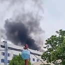 서관5 중앙일보
