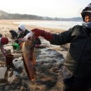 만리포해변 이미지