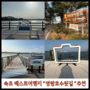 영랑호수윗길 | [속초 가볼만한곳] 분위기좋은 여행지 영랑호수윗길 주차 후기