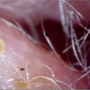 탄방메디칼 이미지