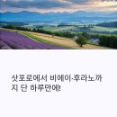인디고투어 후기, 삿포로 비에이 투어는 여기서!